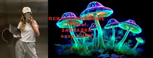 прущие грибы Медногорск