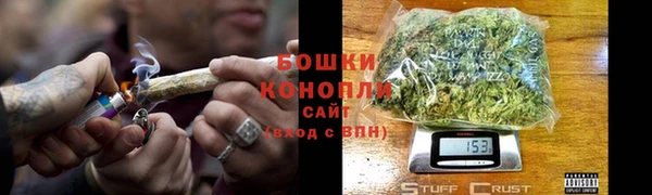 прущие грибы Новодвинск