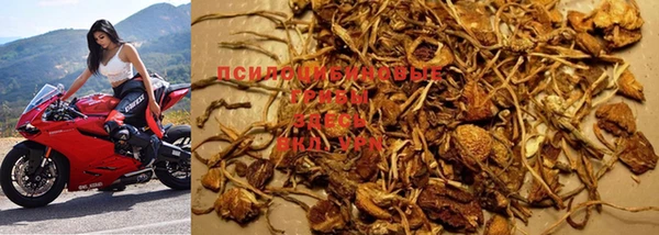 mdma Медвежьегорск