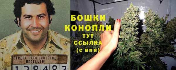 прущие грибы Новодвинск