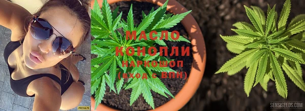 прущие грибы Медногорск