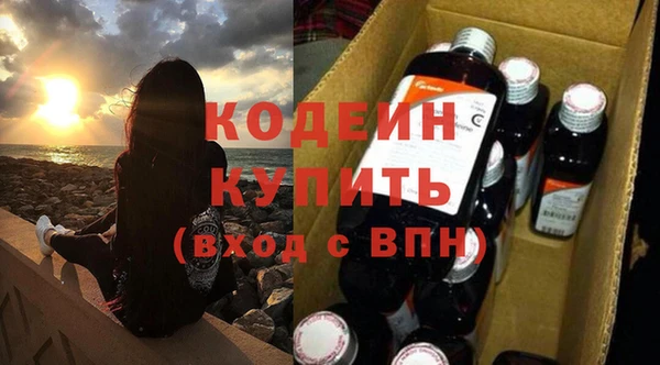 прущие грибы Медногорск