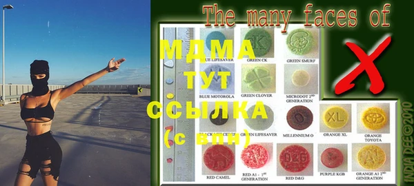 прущие грибы Медногорск