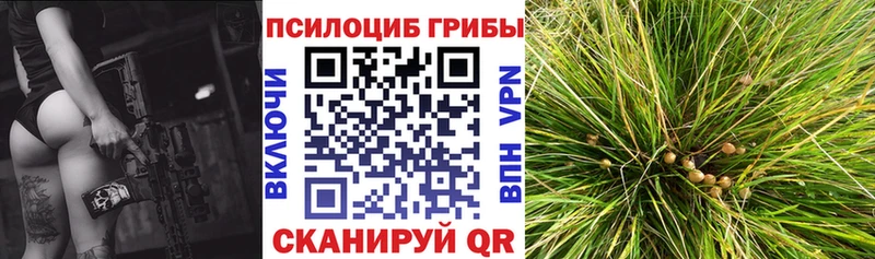 OMG ССЫЛКА Озёрск Галлюциногенные грибы мицелий